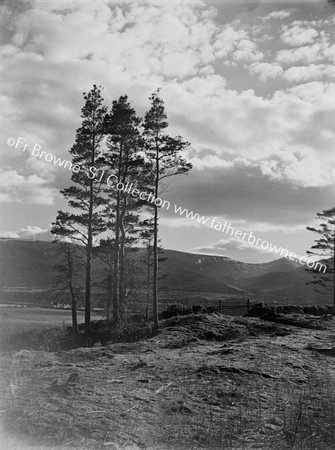 GLEN OF AHERLOW